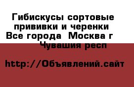 Гибискусы сортовые, прививки и черенки - Все города, Москва г.  »    . Чувашия респ.